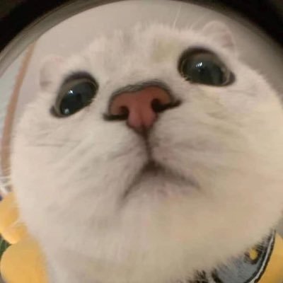 hogquan259's profile picture. 