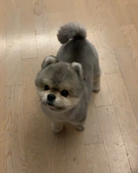 Sethet274782's profile picture. 