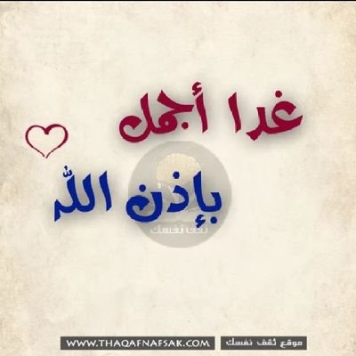 bmsy354845's profile picture. 