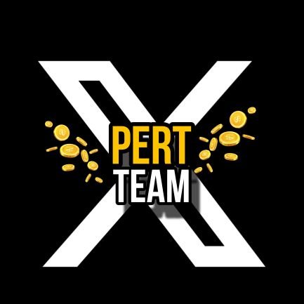 Xpert_team_ Profile Picture