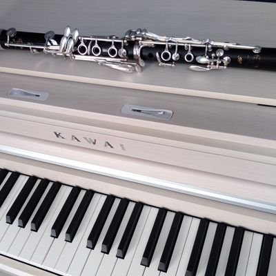 一般吹奏楽団でClarinetを吹いています。オトナの趣味として音楽を楽しみたい。
Clarinet_Crampon RC。Piano_KAWAI CA401。