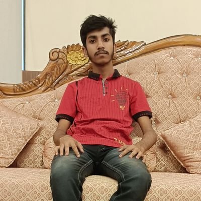 Travel Enthusiast , Interest in Politics