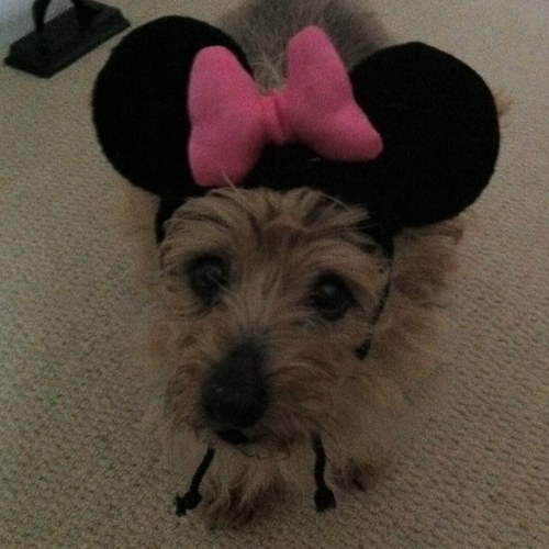 sally_kav's profile picture. 