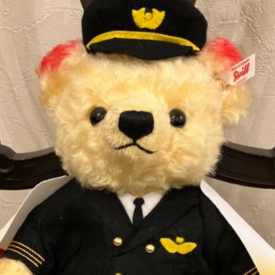 飛行機と旅行とANAが大好き。でも1番好きなのは煉獄さん❤️ 劇場版無限列車で初めて会って恋に落ち💕 参号機の煉獄さんを追いかけようと、2023年からSFC修行を始めて5月に参号機で解脱、11月に参号機で💎達成。参号機就航中61回搭乗しました。飛行機・旅好きの方と繋がりたいです❣️最近、ホテル修行にも興味津々🤩