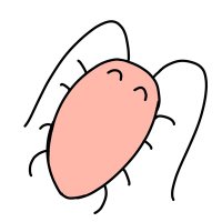 ニホンオオクソシコゴキブリ (@gokiburiona2) 's Twitter Profile