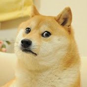 DomnyjM11236's profile picture. 