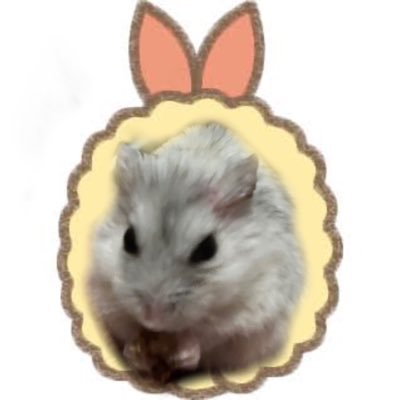 ねむたろ💤🐹さんのプロフィール画像