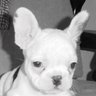 Zipolite_Trader's profile picture. Investor Trader Expat. Mind your thoughts, they are the preview reel for your life.
