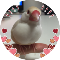 bunbun💎🐝💎🐝 (@j_b_ss) 's Twitter Profile