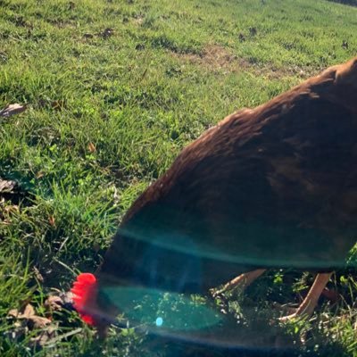 American redneck Christian In the hills of North Carolina