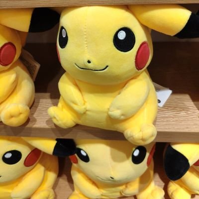 dandan00023's profile picture. 