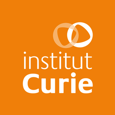 Following the success of our Courses in 2017, 2018, 2020, and 2022 the objective of the Fifth International Melanoma Course in 2024 include a new criteria-base