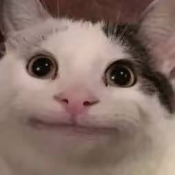 snzhxu198756's profile picture. 