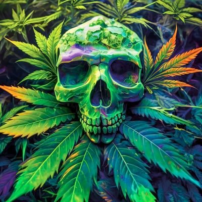Former hip-hop artist. Fins fan 4 life. Legal Marijuana Grow Consultant. Co-Owner of Hydroguana  #FinsUp https://t.co/pe1ojgJJw6