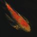 River Teeth (@riverteeth) Twitter profile photo River Teeth (@riverteeth) Twitter profile photo