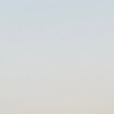 もろみさんのプロフィール画像