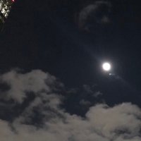 おもち (@d_cometrue_8) 's Twitter Profile