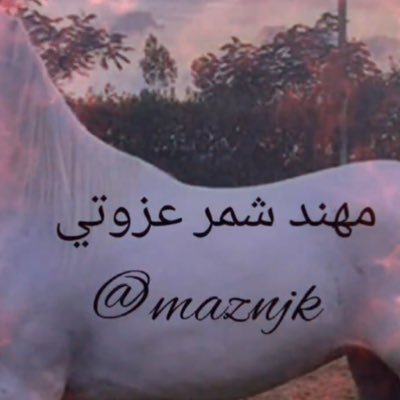 مهند 👈🏻شمر عزوتي