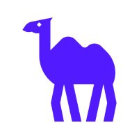 CAMEL-AI.org(@CamelAIOrg) 's Twitter Profile Photo