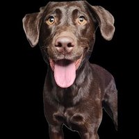 Flyytowin 🇨🇦 (@flyytowin) 's Twitter Profile Photo