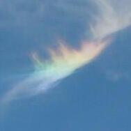 8simosims8's profile picture. 仙台市在住　