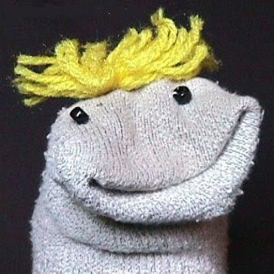 whyohwhyfools's profile picture. 