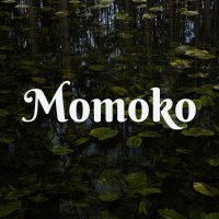 Momoko 🏳️‍🌈(@momoko_blog) 's Twitter Profile Photo