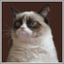 Finkle Fart (@finkle_fart) Twitter profile photo Finkle Fart (@finkle_fart) Twitter profile photo
