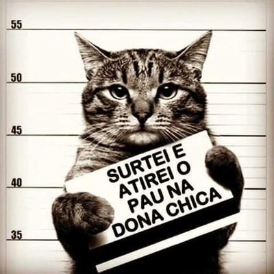 Marlonreis4374's profile picture. 