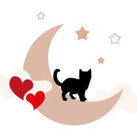 Luna🐈⬛🌙 (@slave_of_solis) 's Twitter Profile