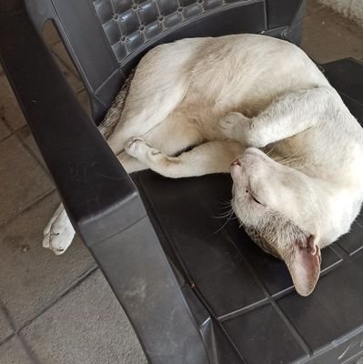 sky_and_beyon's profile picture. River flows in you