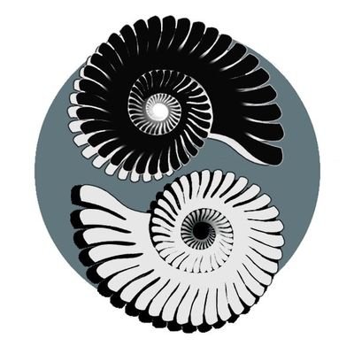 seb_binary's profile picture. 