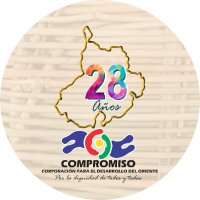 C Compromiso ONG(@CompromisoOng) 's Twitter Profile Photo
