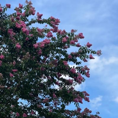 quietsusu998's profile picture. Salafi 🫶🏽