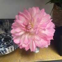 peony Jane (@peonylavender) 's Twitter Profile