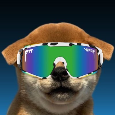 Bitdogy Profile Picture