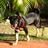Nathaliebelen08's profile image