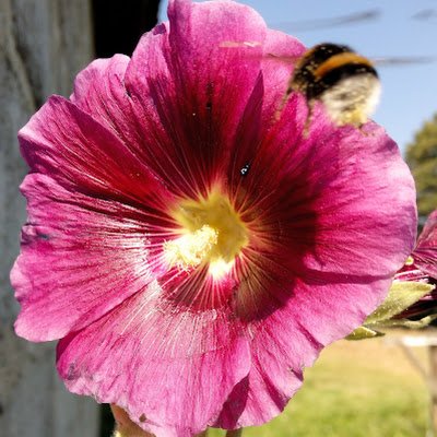 MarekZawad9324's profile picture. 