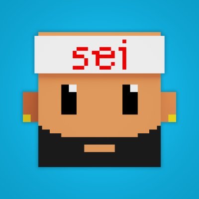 The first collection of 4444 unique 3D voxel characters on Sei!