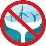 We are a grassroots organization asking for science-backed answers regarding impending cumulative impacts from offshore wind projects off Nantucket and MA.