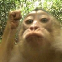 Persephone (@drunkenescapade) 's Twitter Profile
