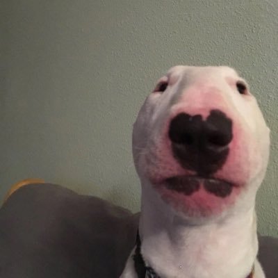 Lilbrefix's profile picture. Ayo!