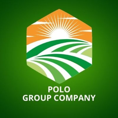 CEO POLO GROUP COMPANY