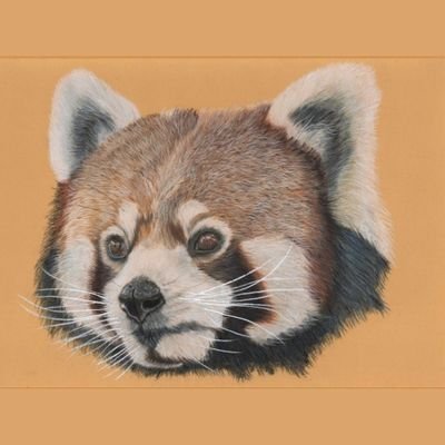 感覚過敏という障害があります。
主に人を励ますような詩と色鉛筆で描いた動物の絵と折り紙といったアートを投稿しています。
また、詩と絵は販売しています。↓

よろしくお願いします😆