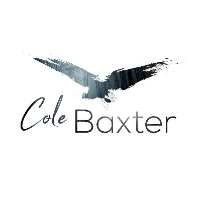 Cole Baxter is a #1 bestselling psychological thriller author. You can find his books on Amazon here: https://t.co/ySmAyJpiyP