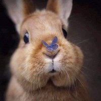CristalBleu01 VIVE LA FRANCE LIBRE !๐จ๐ต๐ฎ๐ฑ๐ฆ๐ฒ (@cristalbleu01) 's Twitter Profile