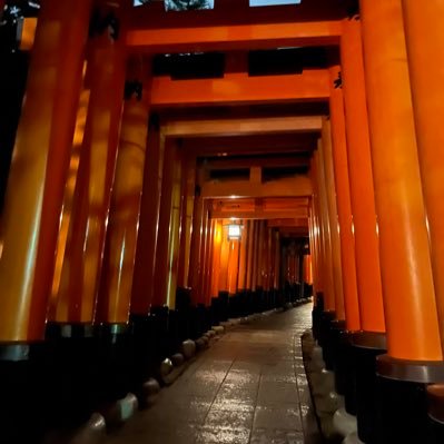 yokohama_ka's profile picture. 