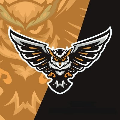 Prodigiumbr's profile picture. • Equipe Semi-Profissional de League of Legends.

• Contato: prodigiumesports@gmail.com.