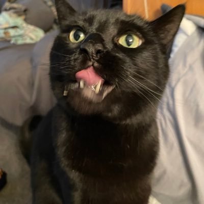 hayleymcconkeyx's profile picture. theta phi alpha ❁ csu