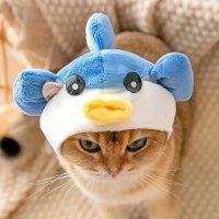 借金を乗り越えるバフェットジュニア (@jr_shakinkaesu) Twitter profile photo